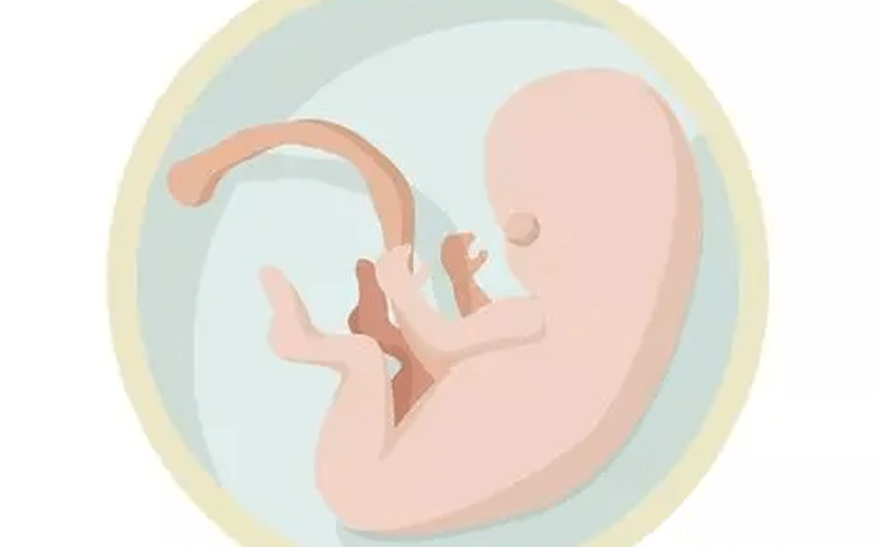 胎儿脐带短影响宫缩