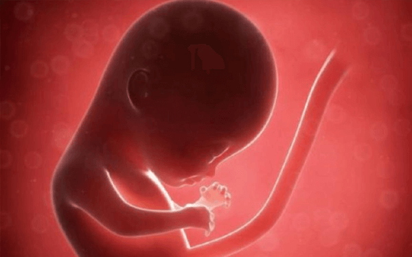 刚出生的胎儿脐带过短难养大吗？