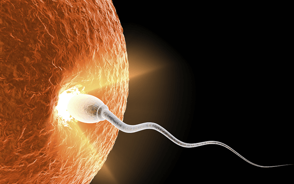 男人的精子活力差会导致女性宫外孕吗？