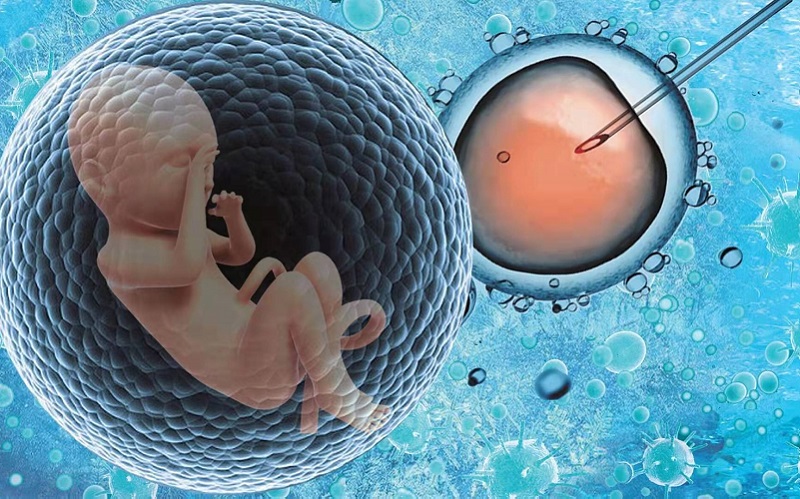 观察囊胚无法看出婴儿性别