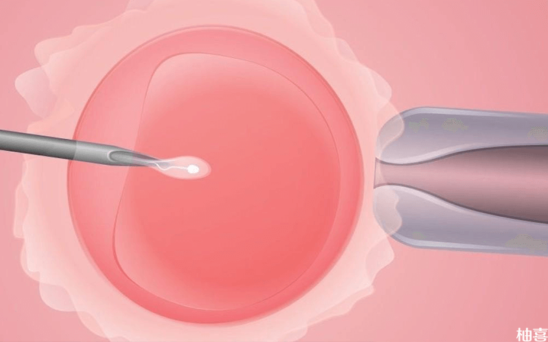 三个月囊胚移植26天后孕囊在10mm左右