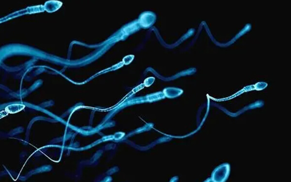 在美国精子库买精子时可以先看照片吗？