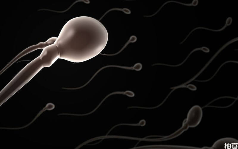 在美国精子库买精子时可以看照片吗