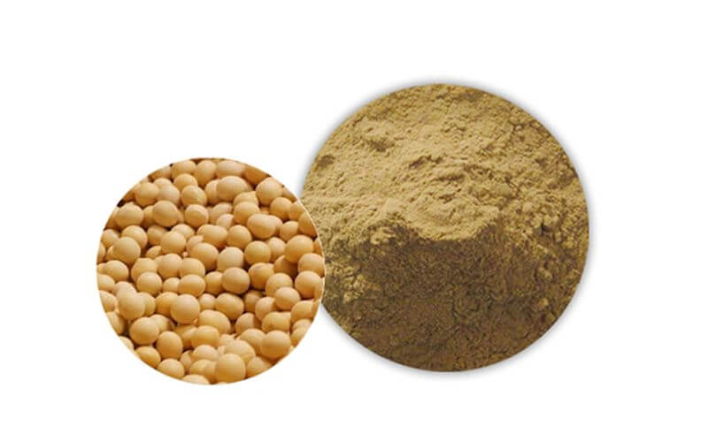 大豆异黄酮是从大豆中提取的如何通过饮食补充大豆异黄酮