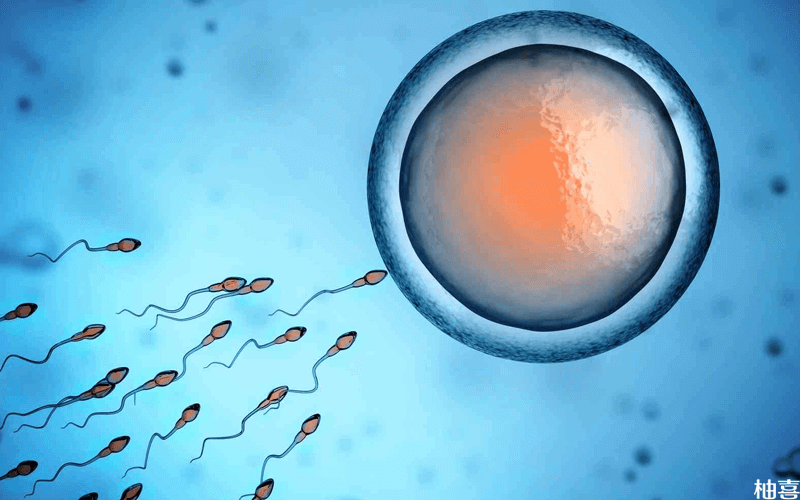 精子不完全液化的男性怀孕的概率