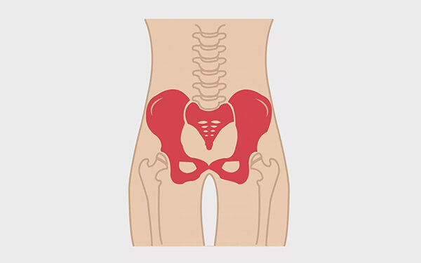 孕妇骨盆中的坐骨和耻骨联合处位置在哪？