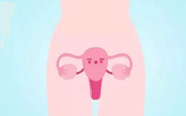 子宫内膜不规则蠕动能移植吗？