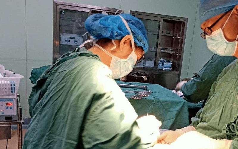 金英子医生进行移植手术