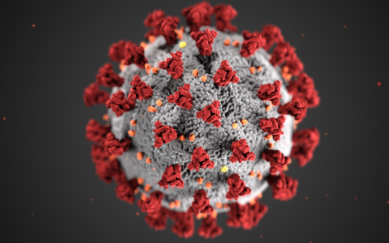 拉姆达新冠病毒最先在2020年8月分在秘鲁发现