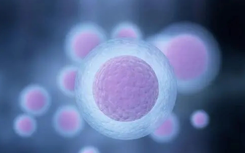 男孩胚胎在经过冷冻技术处理后会比女孩胚胎更脆弱