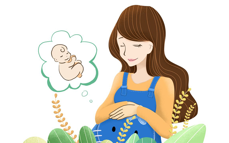 孕晚期的胎儿耳蜗发育不完全