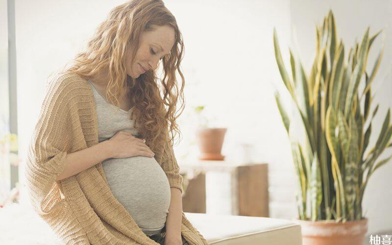 怀孕后有妊娠反应很常见