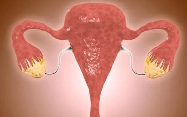 卵巢里面的卵泡只有2个3个正常吗？