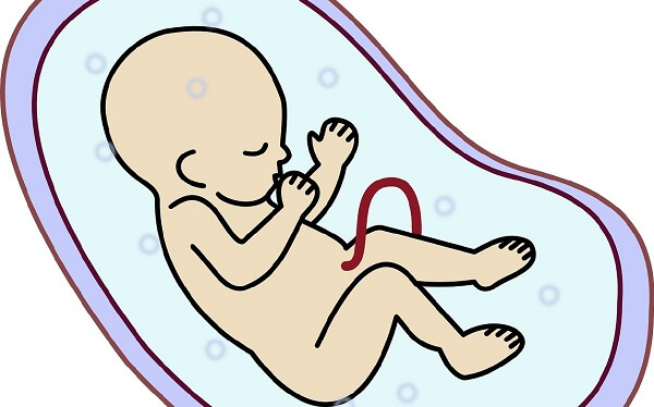 试管婴儿养囊后5天和7天囊胚有什么区别?
