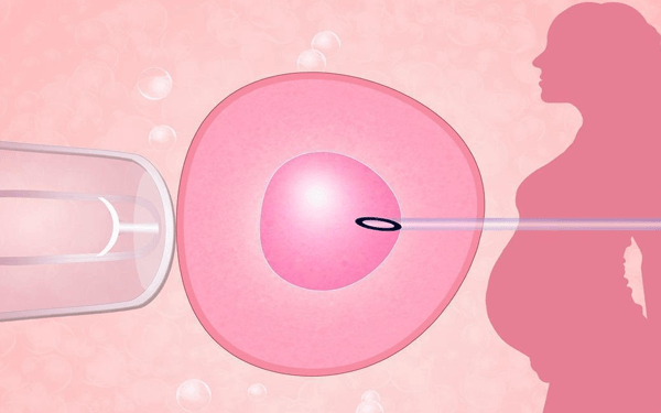 试管婴儿取完卵后一般子宫内膜多少可以移植？