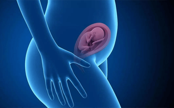 1~40周的胎儿股骨长达到多少就算大长腿？