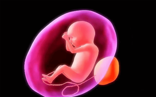 胎儿的双顶径达到多少范围就表示已经足月了？