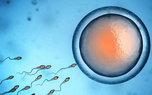 人工授精前取出的精子是怎么低温保存的？