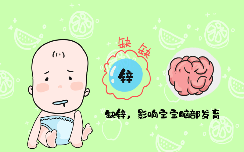 缺乏锌的宝宝不利于大脑的神经调节和脑部发育
