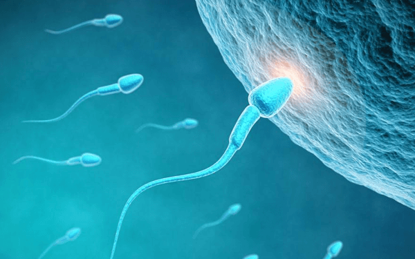 人工授精取出2ml精子，目测精子个数是多少？