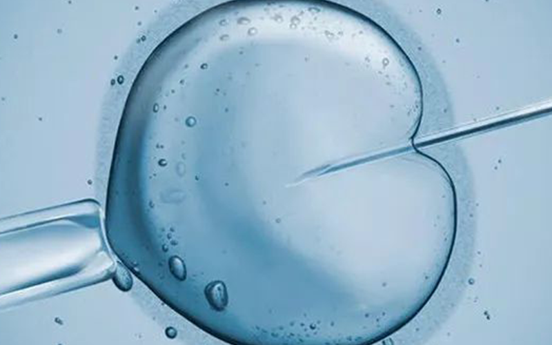 囊胚移植变双胞胎的概率在40%左右