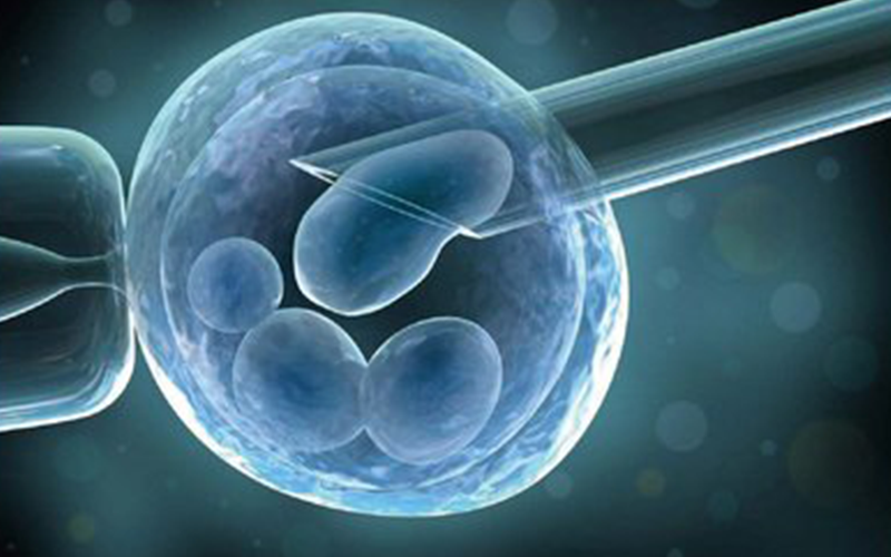 胚胎着床不成功会在一周左右死掉