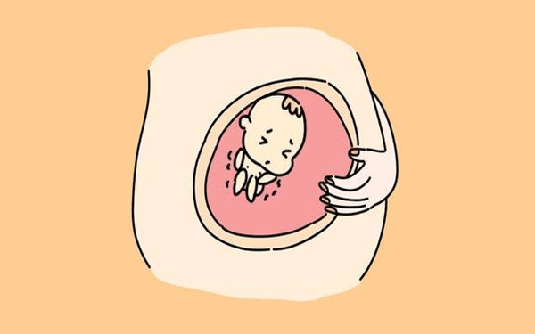 为什么怀孕8-12周是孕妇最容易胎停的时期？