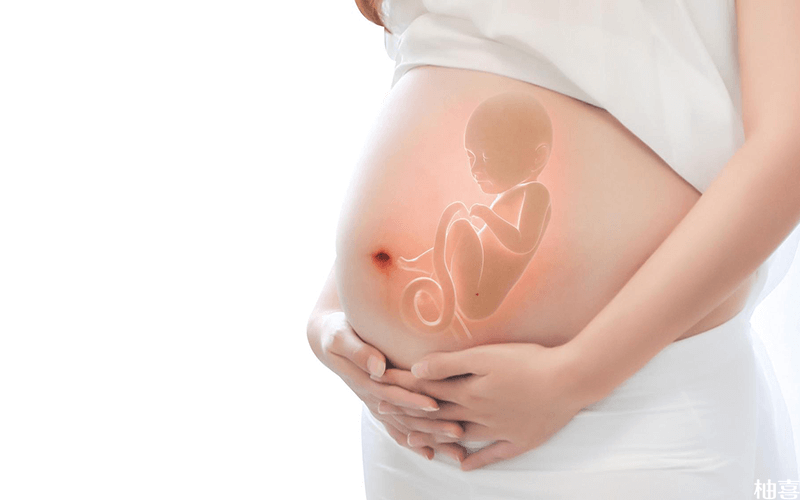 孕期自测胎儿是否活着