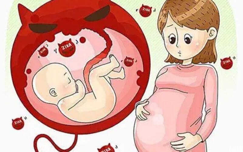 孕妇的乙肝病毒经胎盘传给胎儿