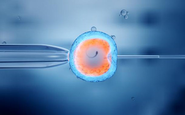 试管胚胎移植成功后多久才能在内膜稳定下来?