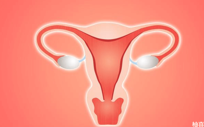 患子宫内膜癌六个信号