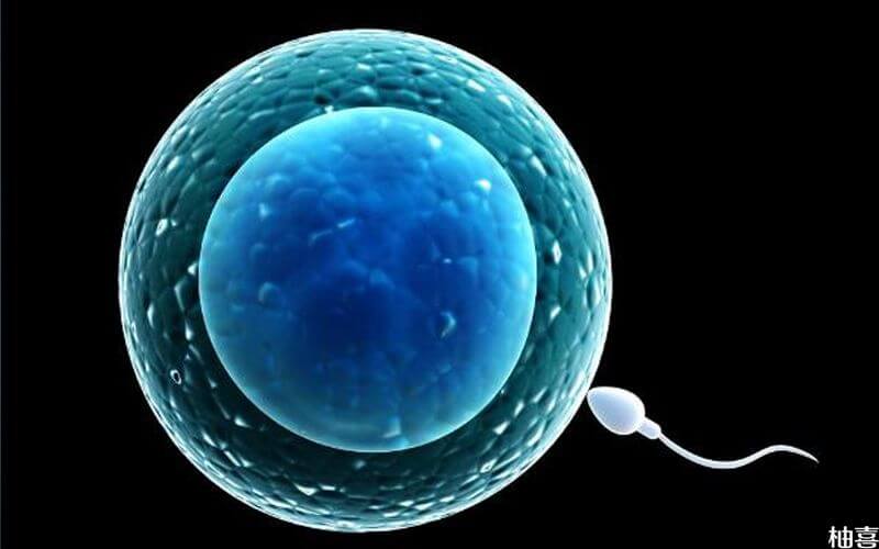 质量不高的胚胎也能移植成功