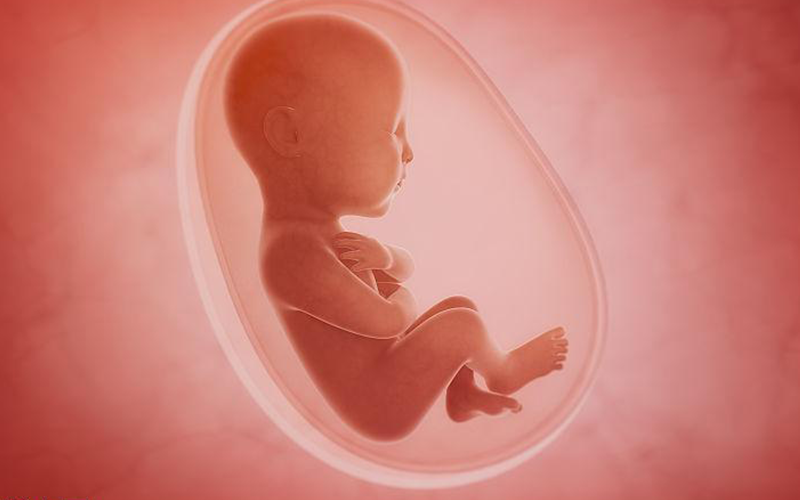保胎不会导致胎儿发育畸形