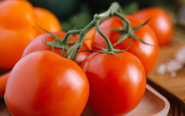 胚胎移植后吃西红柿会影响着床几率吗?