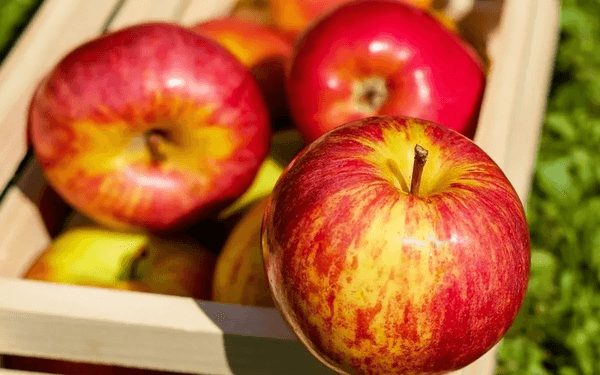 胚胎移植后吃苹果会减内膜厚度是真的吗？