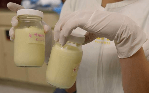 为什么产后第二天初乳的奶水像清水？