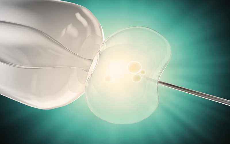 嵌合体概率在囊胚期可能达到30%