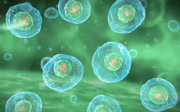 促排时卵泡长得非常慢，做试管还能受孕吗？