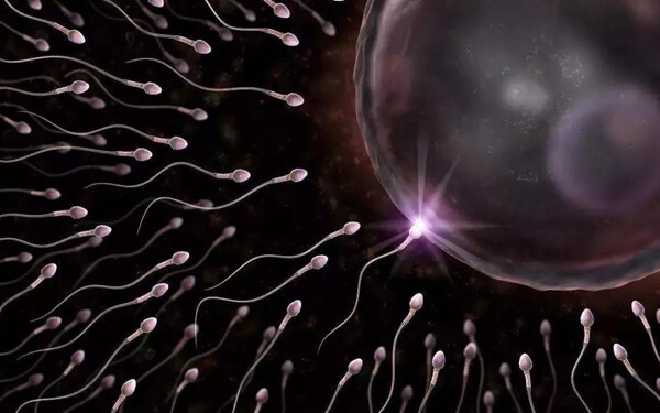 精子成活率不到37%，同房还能使女方受孕吗？