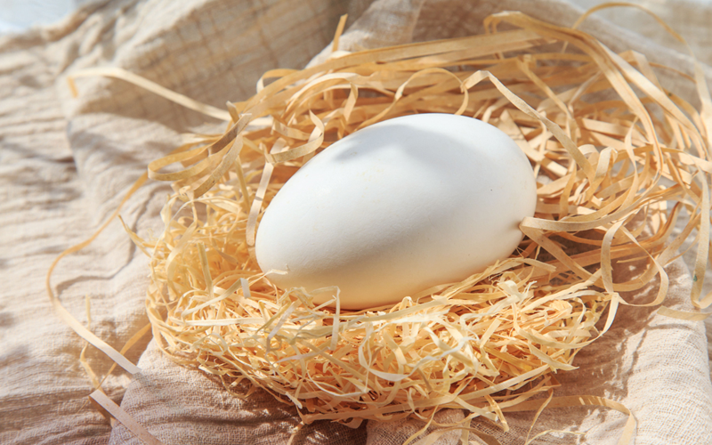 鹅蛋可以增强孕妇的记忆力