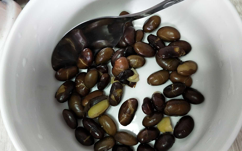 黑豆叶中含有叶酸