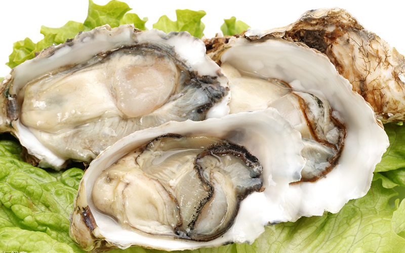 牡蛎能够帮助平衡雌激素