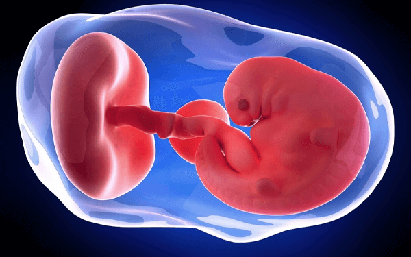 怀孕四十天的孕囊大概有多少厘米？