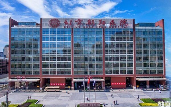 2023北京朝阳医院试管婴儿指南，费用明细及成功率参考