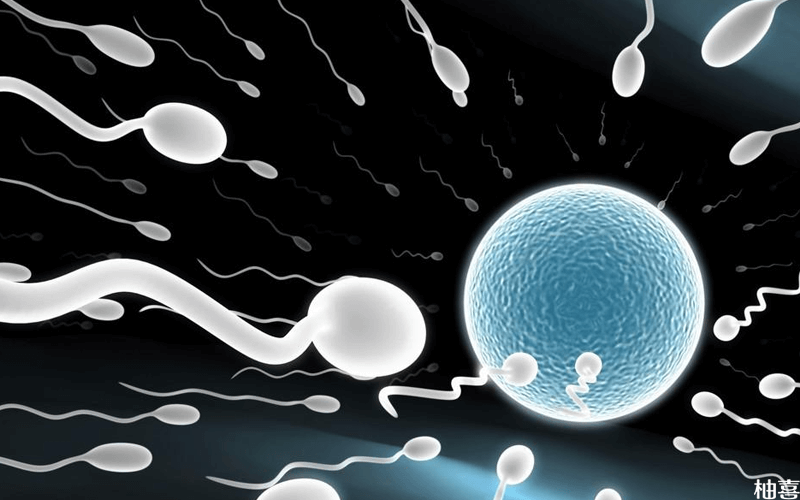 精子活力过低可能会造成不孕
