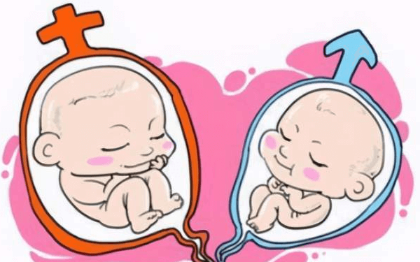 二胎可看胎儿是男是女，大宝长相、发旋和手腕均可判断