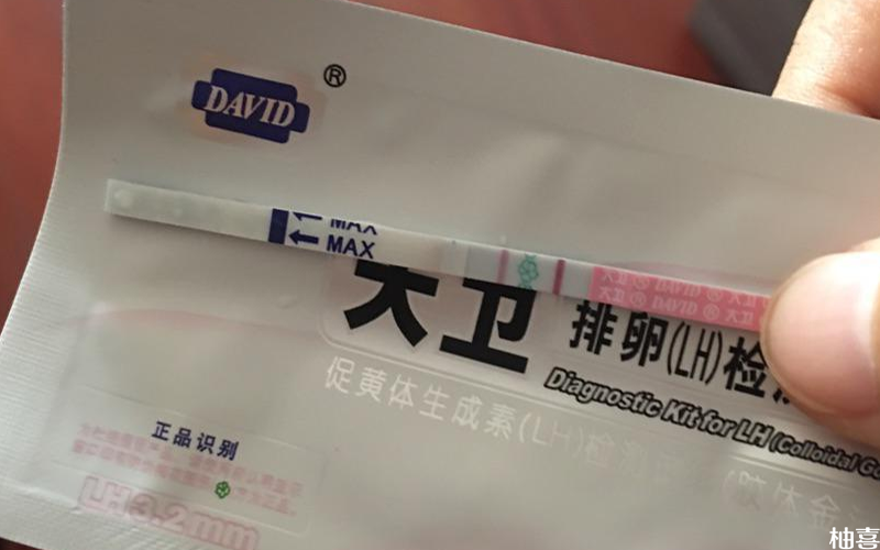 大卫排卵试纸每天固定一个时间测