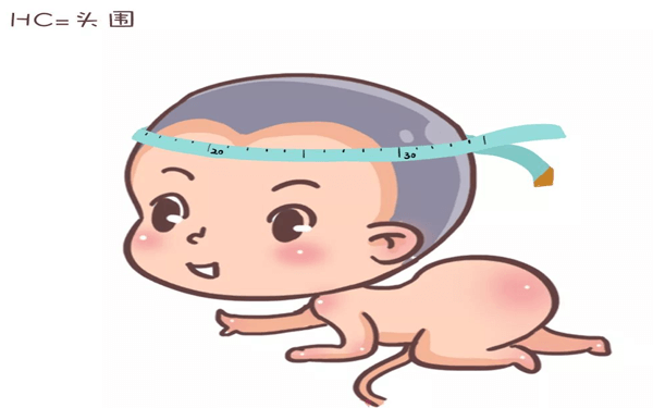 适合顺产宝宝的最佳头围是多少？