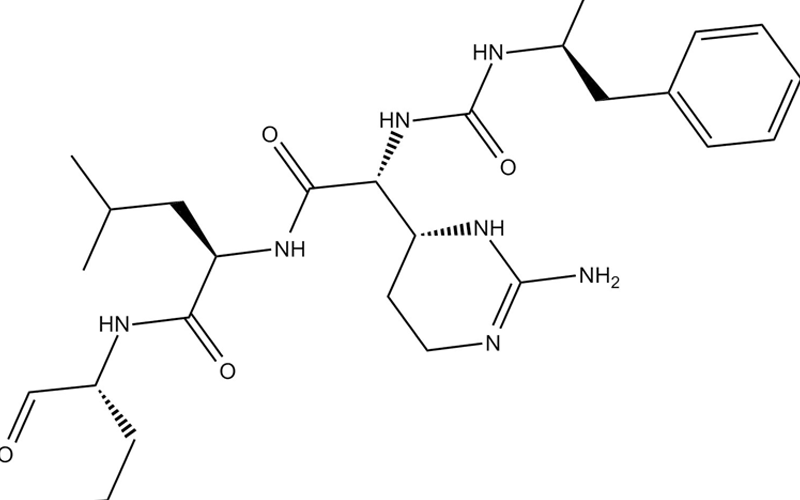 阿尔法糜蛋白酶结构示意图