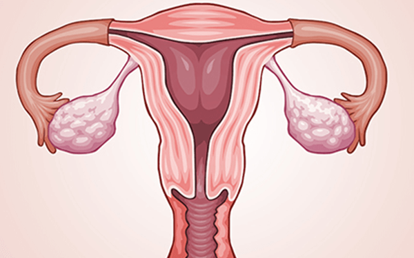 月经期子宫内膜厚度一般多少厘米才算是正常值?